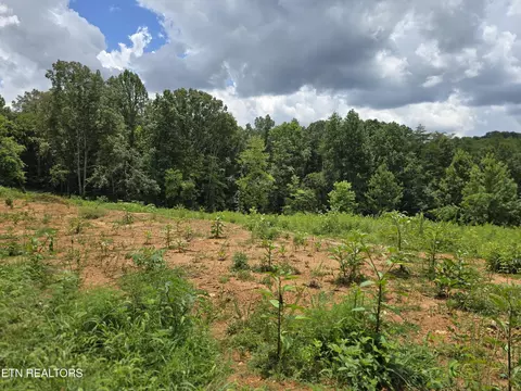 260 Wells Rd, Powell, TN 37849