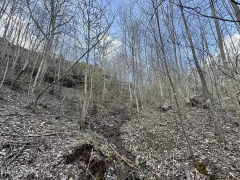 0 Grape Rough Rd, Oneida, TN 37841 photo 9