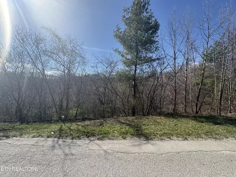 0 Grape Rough Rd, Oneida, TN 37841