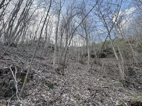 0 Grape Rough Rd, Oneida, TN 37841 photo 10