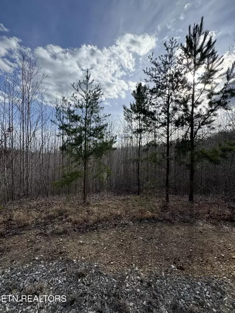 0 Grape Rough Rd, Oneida, TN 37841 photo 4
