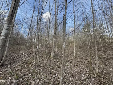 0 Grape Rough Rd, Oneida, TN 37841 photo 11