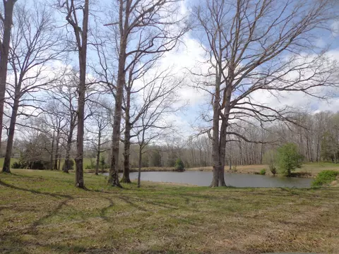 1551 Tennessee Ridge Rd, Waverly, TN 37185