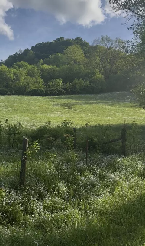 0 Little Salt Lick Rd, Carthage, TN 37030