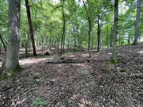 68 Bassham Rd, Five Points, TN 38457 photo 13
