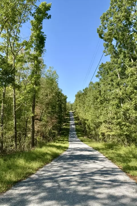 135 Old Hickory Dr, Holladay, TN 38341