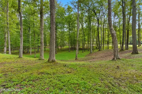 605 S Lake Dr, Oneida, TN 37841 photo 53