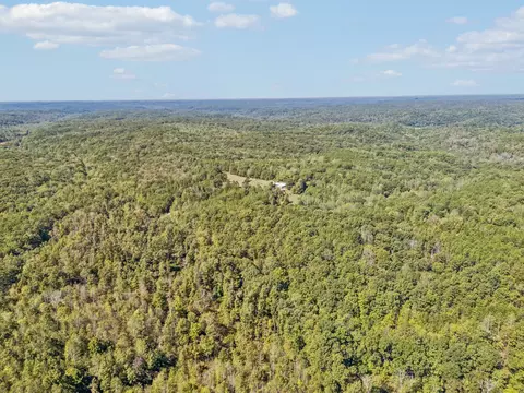 View/Area - 3924 Only Rd, Only, TN 37140 photo 24 of 29
