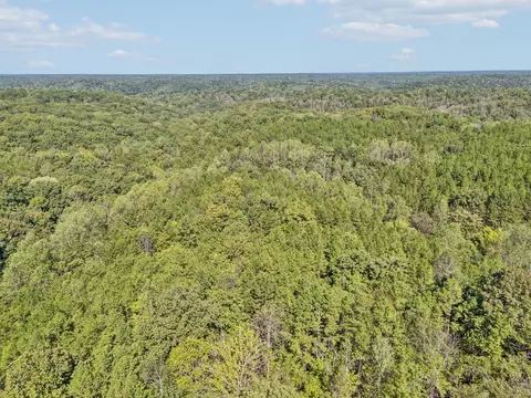 View/Area - 3924 Only Rd, Only, TN 37140 photo 19 of 29