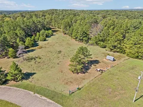 View/Area - 3924 Only Rd, Only, TN 37140 photo 18 of 29
