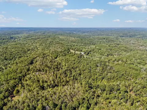 View/Area - 3924 Only Rd, Only, TN 37140 photo 25 of 29