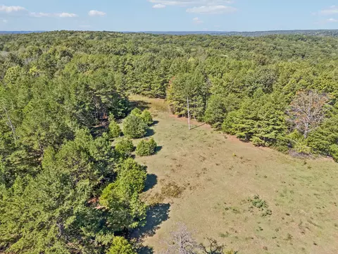 View/Area - 3924 Only Rd, Only, TN 37140 photo 6 of 29