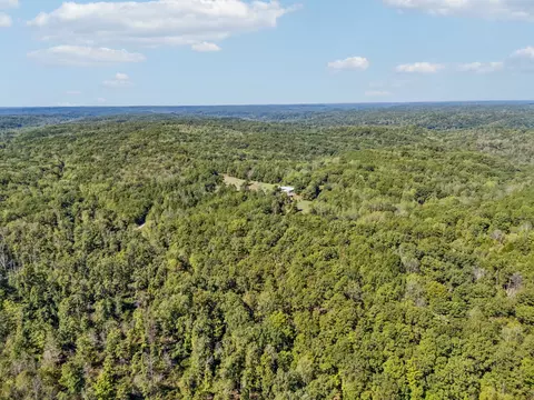 View/Area - 3924 Only Rd, Only, TN 37140 photo 26 of 29