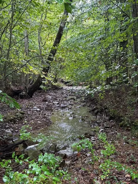 13 Saw Mill Rd, Palmer, TN 37365