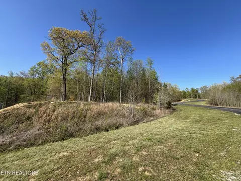 0 Thief Neck View Dr, Rockwood, TN 37854