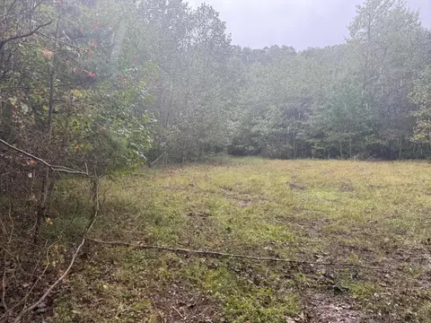 14 Saw Mill Rd, Palmer, TN 37365