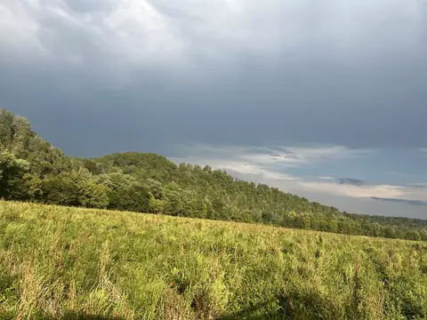 Other - 0 Stringfellow Rd, White Bluff, TN 37187 photo 7 of 12