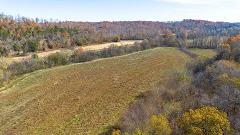 Other - 0 Stringfellow Rd, White Bluff, TN 37187 photo 3 of 12