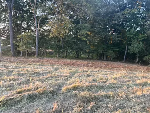 Exterior - 0 Stringfellow Rd, White Bluff, TN 37187 photo 1 of 1