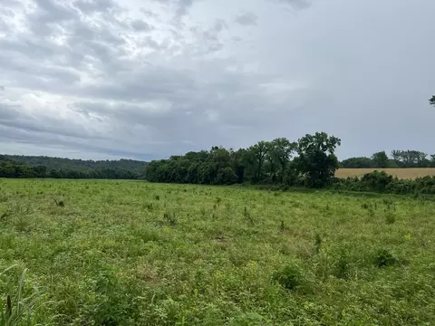 Other - 0 Stringfellow Rd, White Bluff, TN 37187 photo 10 of 12