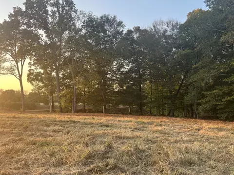 Other - 0 Stringfellow Rd, White Bluff, TN 37187 photo 2 of 12
