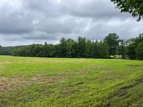Other - 0 Stringfellow Rd, White Bluff, TN 37187 photo 4 of 12