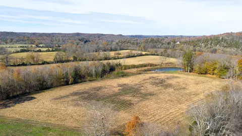 View/Area - 0 Stringfellow Rd, White Bluff, TN 37187 photo 17 of 25