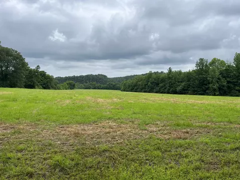 Other - 0 Stringfellow Rd, White Bluff, TN 37187 photo 8 of 12