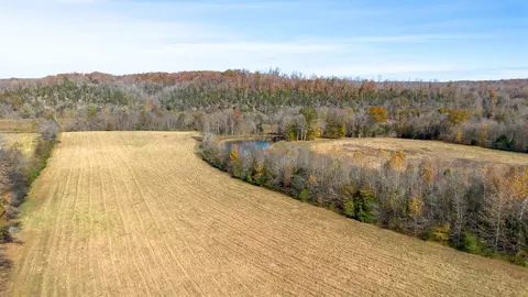 View/Area - 0 Stringfellow Rd, White Bluff, TN 37187 photo 18 of 25