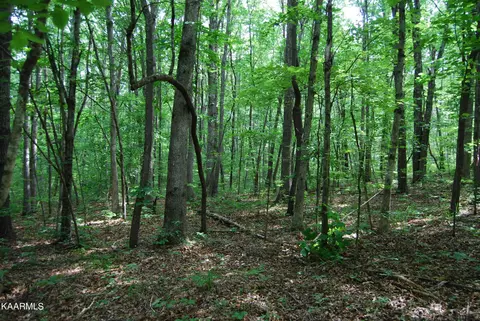0 Westwind Rd, Pikeville, TN 37367