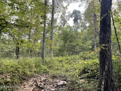 0 Off Buckridge Rd - 305 Acres, Crossville, TN 38572