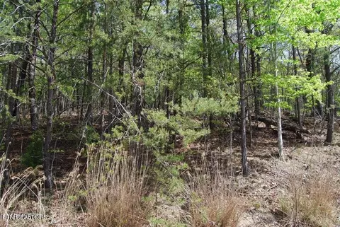 47 Chatham Ter, Crossville, TN 38558