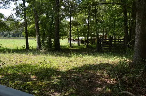984 Kilby Rd, Clarkrange, TN 38553 photo 22