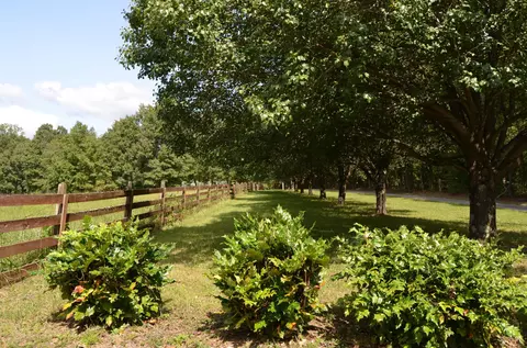 984 Kilby Rd, Clarkrange, TN 38553 photo 13