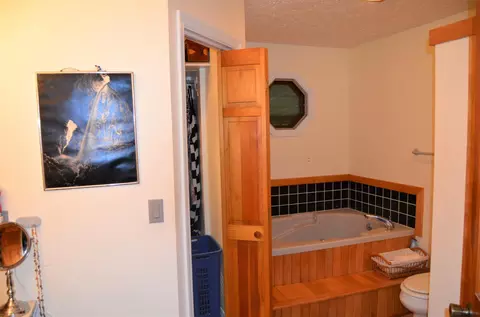 170 Human Dr, Lancing, TN 37770 photo 12