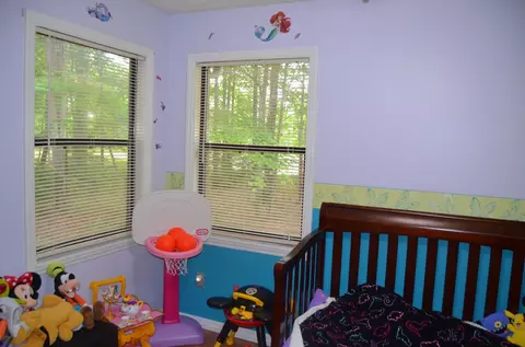 170 Human Dr, Lancing, TN 37770 photo 21