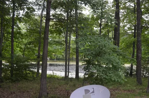 170 Human Dr, Lancing, TN 37770 photo 2