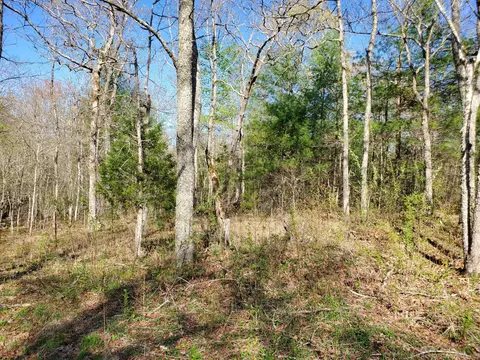 2108 Genesis Rd, Lancing, TN 37770 photo 12