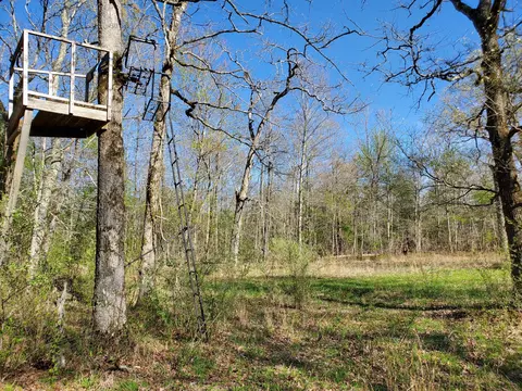 2108 Genesis Rd, Lancing, TN 37770 photo 11