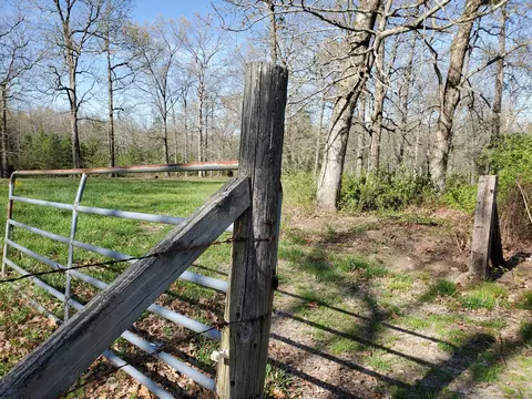 2108 Genesis Rd, Lancing, TN 37770 photo 10