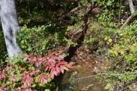 0 Arrow Trl, Monterey, TN 38574