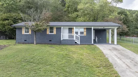 132 Walnut St, Spring City, TN 37381
