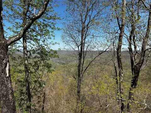 0 Gap Rd, Altamont, TN 37301
