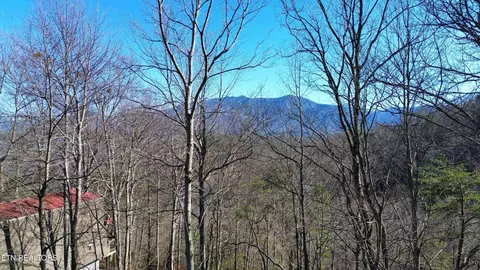 0 Cove, Gatlinburg, TN 37738