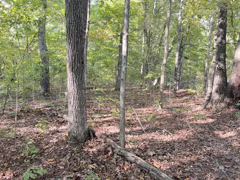 10309 Goff Ridge Rd, Baxter, TN 38544 photo 31