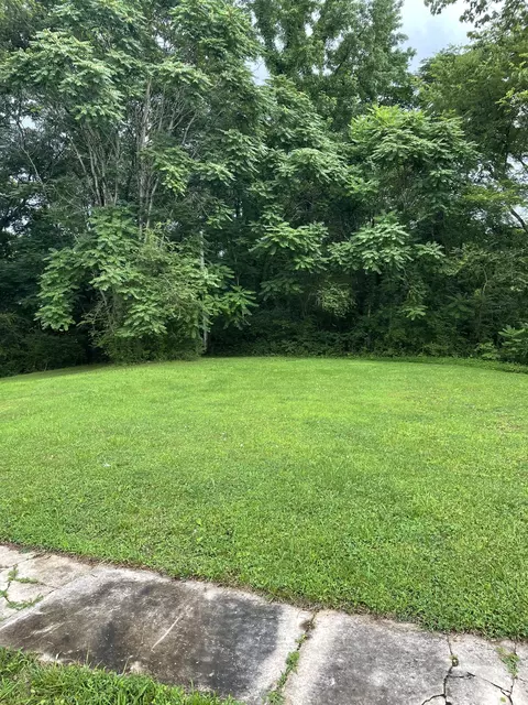 116 Magnolia St, Camden, TN 38320