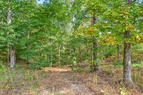 Exterior - 121 Meadow Ln, Dover, TN 37058 photo 5 of 5