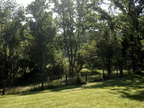 7725 Caney Fork Rd, Fairview, TN 37062 photo 42