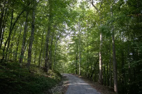 7725 Caney Fork Rd, Fairview, TN 37062 photo 51