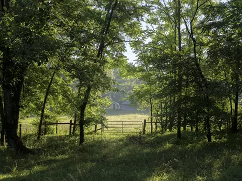 7725 Caney Fork Rd, Fairview, TN 37062 photo 3